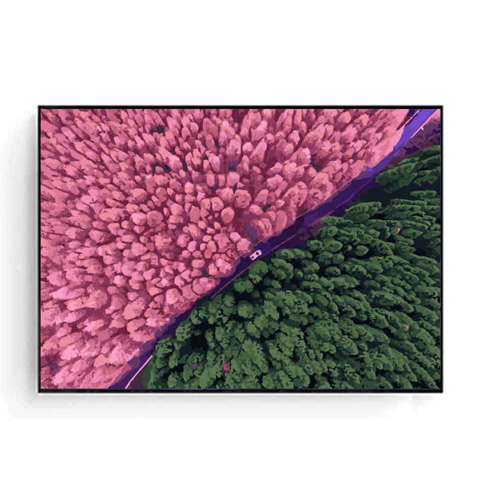 Malen Nach Zahlen Rosa Wald 1 Malen Nach Zahlen Rosa Wald