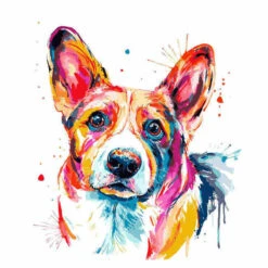 Malen Nach Zahlen Farbiger Hund Moderne Tierkunst