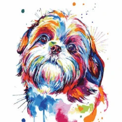 Malen Nach Zahlen Lieber Hund Moderne Tierkunst