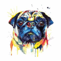 Malen Nach Zahlen Hund Mops Portrait Moderne Tierkunst