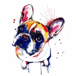 Malen Nach Zahlen Hund Mops Im Portrait Moderne Tierkunst