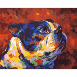 Malen Nach Zahlen Hund Farbig Porträt Moderne Tierkunst