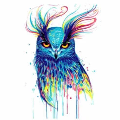 Malen Nach Zahlen Eule Vogel Moderne Tierkunst