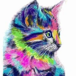 Malen Nach Zahlen Katze In Regenbogenfarben